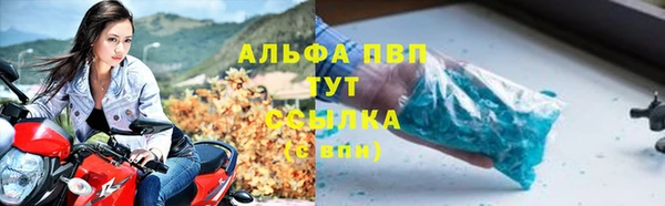 эйфоретик Инта