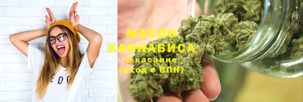 гидра Инсар
