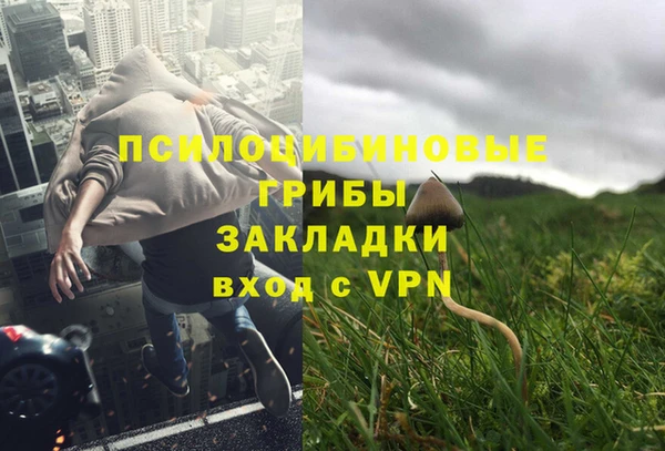 гидра Инсар