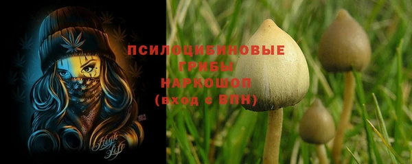 ПСИЛОЦИБИНОВЫЕ ГРИБЫ Иннополис