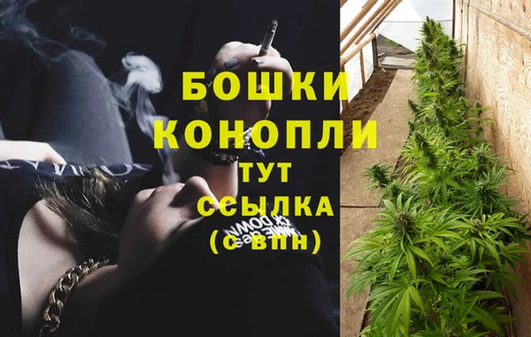 эйфоретик Инта