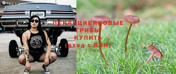 эйфоретик Зеленокумск