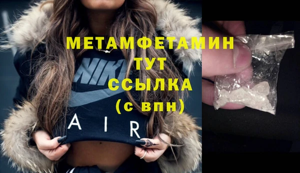 гидра Инсар