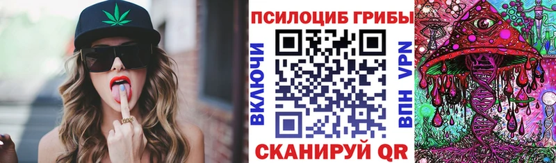 Купить закладки  Зверево  Галлюциногенные грибы Cubensis 